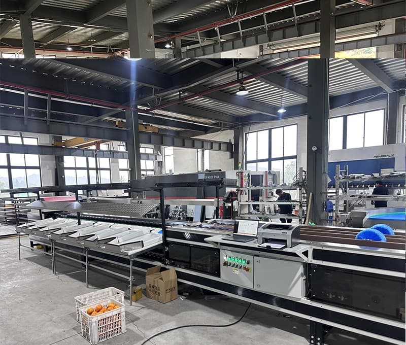 images/1734074503009fruit sorting machine.jpg